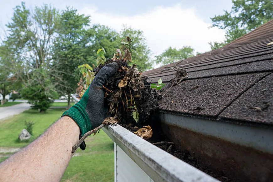 How Gutter Cleaning Services Protect Your Roof, Foundation, and Landscaping