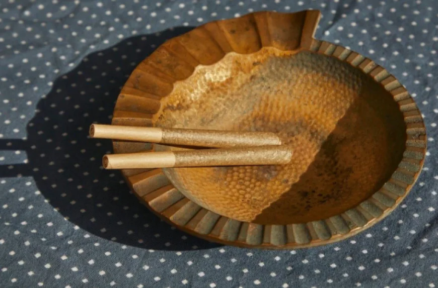 Ontario’s Finest Pre Rolls: A 2025 Guide for Quality and Experience