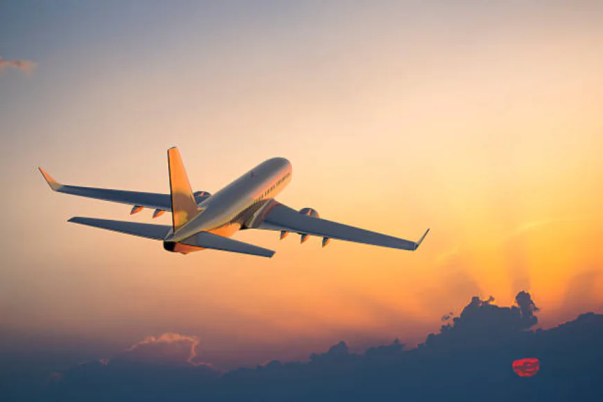 Flighta: The Future of Budget Airline Travel - Why It Is a Smart Choice for the Modern Traveler