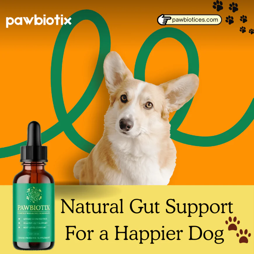 Pawbiotix Reviews & Price—Dog Probiotics Buy Official Website