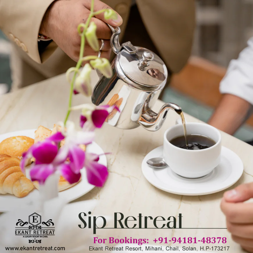 Looking for the Perfect Resort in Chail? Comfort Meets Cedar Forests