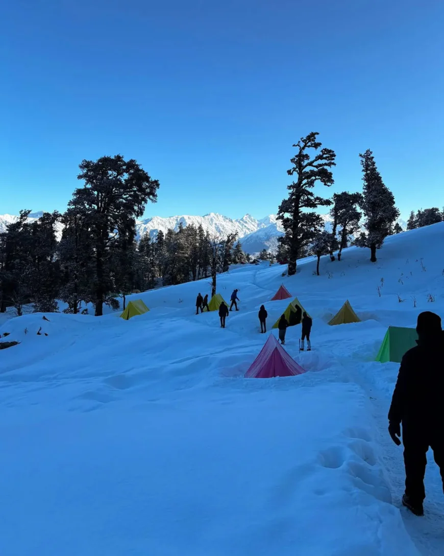 Nag Tibba Basecamp: A Perfect Weekend Escape into the Himalayan Wilderness