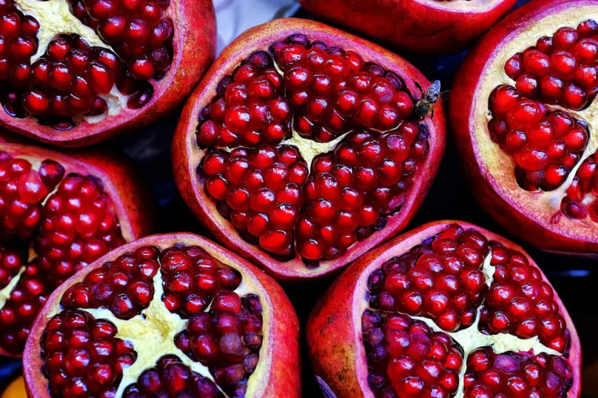 Pomegranate Processing Plant Project Report 2025 | Unit Operations, Business Plan and Cost Analysis