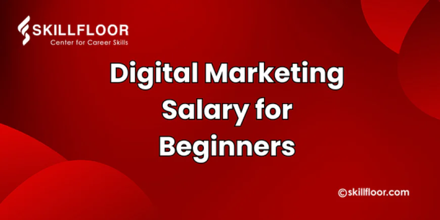 How Much Can a Fresher Earn in Their First Year as a Digital Marketer?