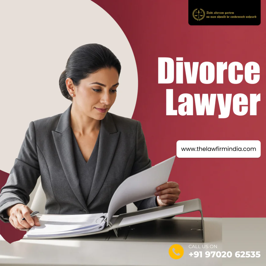 Experienced Divorce Lawyer Offering Legal Support for Peaceful Separation
