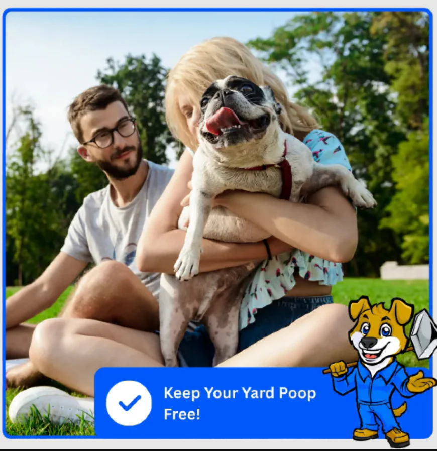 Keeping Your Yard Clean & Poo-Free: Why Dog Poop Pickup in DFW Is a Smart Move