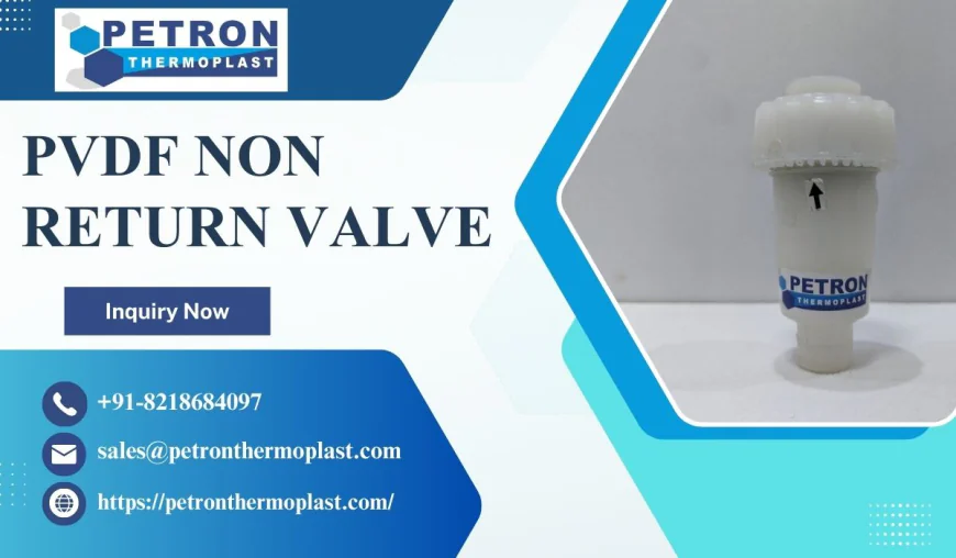 Engineered PVDF Non Return Valve for High Pressure Systems