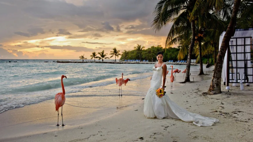 What Makes Aruba Photographers the Best for Island Shoots?