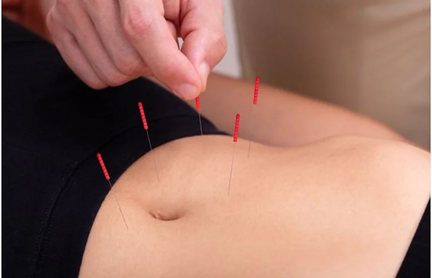 Unlock Your Body’s Natural Fat-Burning Power