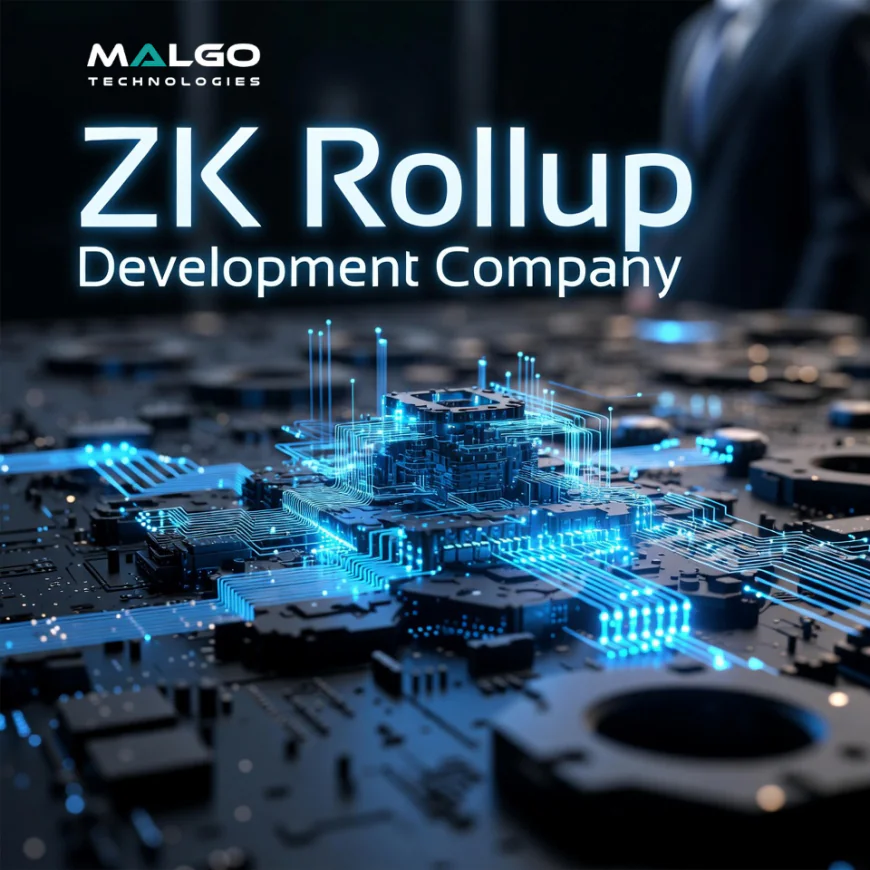 ZK Rollup Development Solutions by Malgo: Expert Blockchain Scaling Services