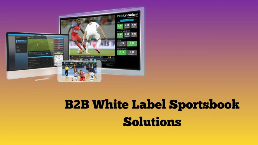 What Are B2B White Label Sportsbook Solutions? A Complete Guide for 2025