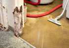Trusted Water Damage Restoration Melbourne Experts You Can Rely On