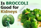 Is Broccoli Good for Kidneys