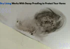 How Dry Lining Works With Damp Proofing to Protect Your Home