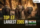 Budget-Friendly Zoos in India — Great Wildlife Experience Without Breaking the Bank