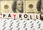 Best Payroll Software in India: 10 Platforms to Automate Your HR in 2026
