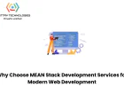 Why Choose MEAN Stack Development Services for Modern Web Development