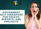 Assignment Help Singapore for Essays, Reports, and Projects