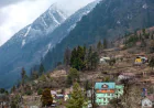 Lachung Travel Package – Explore Snowy Valleys, Nature, and Himalayan Beauty