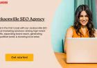 Jacksonville SEO Agency Structuring Growth Through Search Data