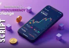 Where and How Can You Get a Cryptocurrency Exchange Script?