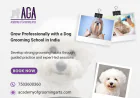 How Grooming Training Helps Dog Trainers Manage Behaviour Better