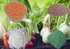 Potassium Fertilizers – Enhancing Plant Vitality, Yield, and Stress Tolerance