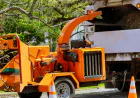 Why Professional Tree Removal Matters for Safe and Healthy Properties