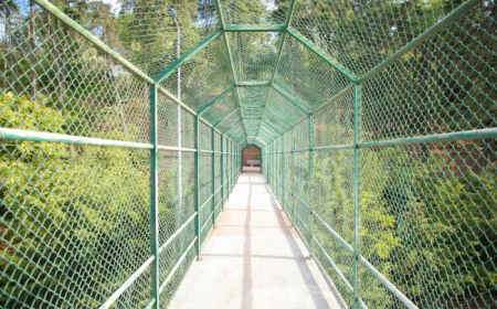 Leading Fence Company Specializing in High-Quality, Long-Lasting Fences