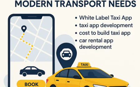 A customizable taxi platform solution for modern transport needs