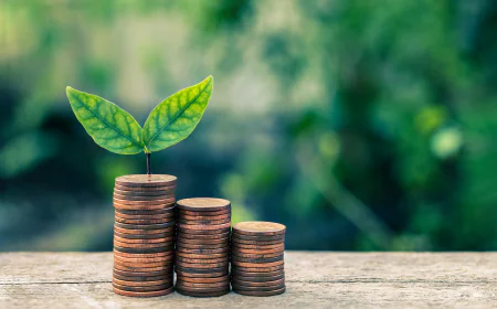 How Mutual Fund Software in India Helps MFDs Track Loan Against Mutual Fund Transactions Easily?