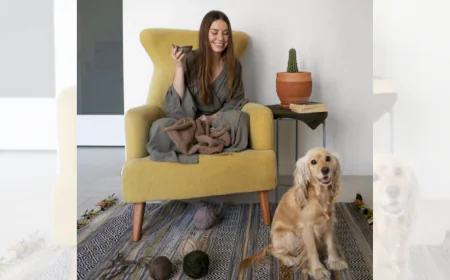 How Pet-Friendly Rentals in Manzanita Elevate Your Coastal Trip