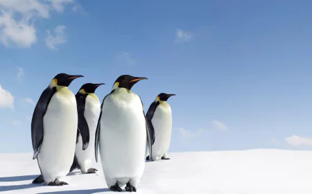 Comprehensive Digital Solutions Under One Roof