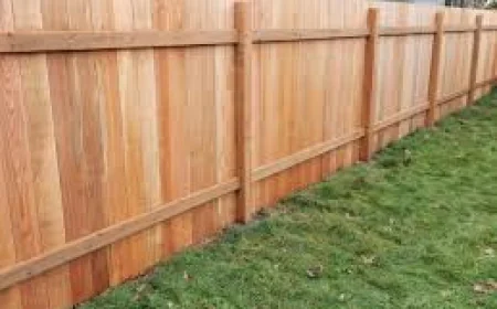 Top 10 Landscaping Services in West Auckland: What Local Experts Recommend