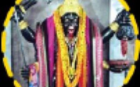 Powerful Astrology Solutions for Love, Marriage & Negative Energy Removal in Vadodara