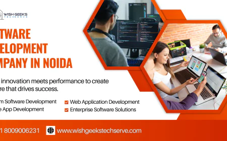 Trusted Software Development Company in Noida – AI-Ready & Future-Focused Services - Wish Geeks Techserve
