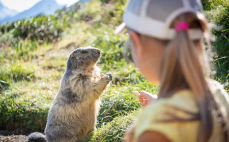 A to Z Animals: Fun Facts for Kindergarten Explorers