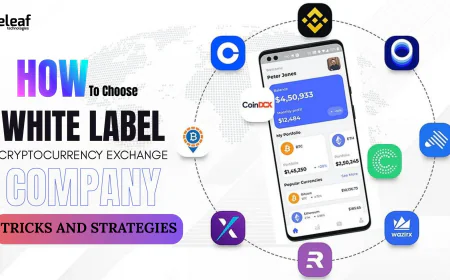 How to Select the Top White Label Crypto Exchange Company: Tricks and Strategies