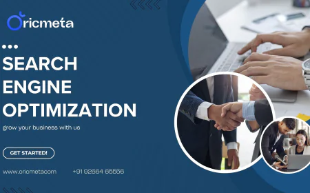 Best Search Engine Optimization Agency | OricMeta India