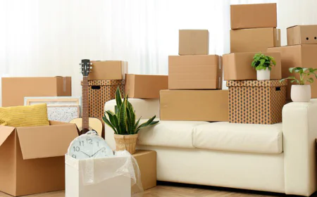 Budgeting Gaps and Overcoming for Smooth Shifting with Packers and Movers in Patna