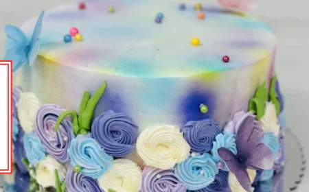 Discover the Best Cakes in Brampton for Every Celebration