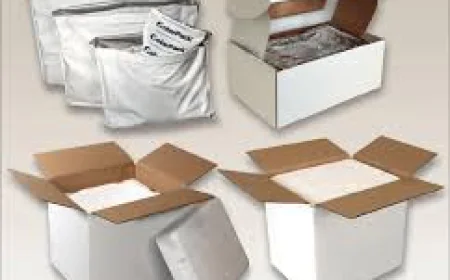 Temperature Controlled Packaging Solutions for Reliable Cold-Chain Shipping