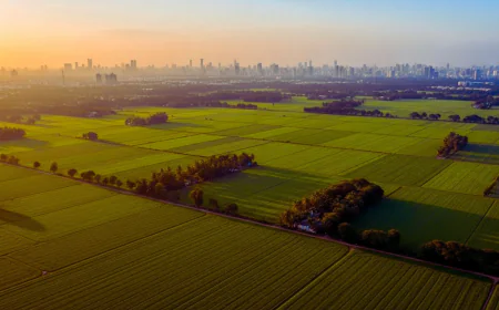 5 Reasons Why Investing in Farmland Near Mumbai Makes Financial Sense