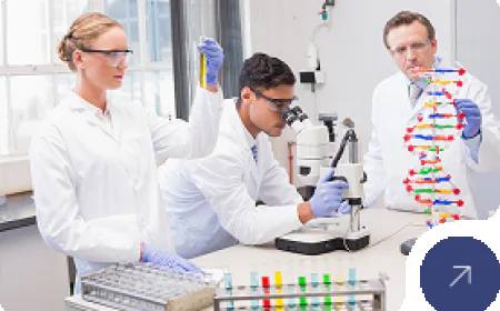 How a Medical Job Consultancy in Dubai Supports Your Healthcare Career