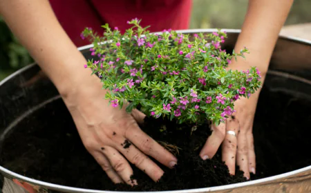 DIY Herb Garden Ideas for Beginners: Simple Ways to Grow Fresh Flavour at Home