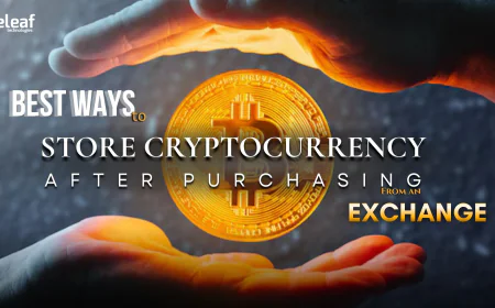 Best Ways to Store Cryptocurrency After Purchasing From an Exchange