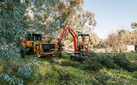 What Equipment Is Used in Land Clearing Services?