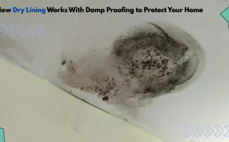 How Dry Lining Works With Damp Proofing to Protect Your Home