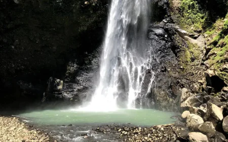 Why Are The Best Hikes in Dominica Becoming The New Travel Obsession?