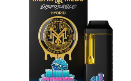 Is Muha 2G Worth It? Honest Performance Breakdown